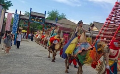 最后人类txt下载